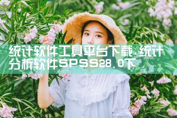 统计软件工具平台下载