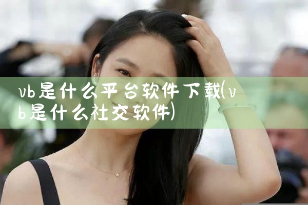 vb是什么平台软件下载