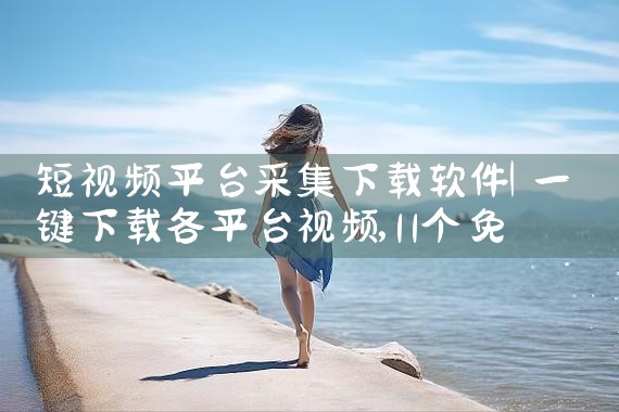 短视频平台采集下载软件