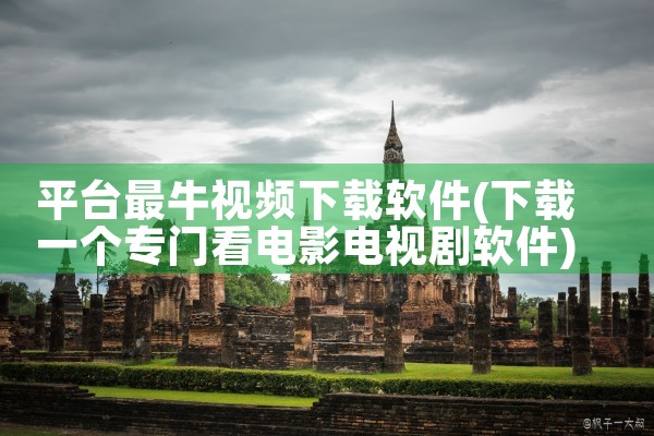 平台最牛视频下载软件