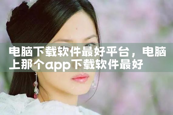 电脑下载软件最好平台