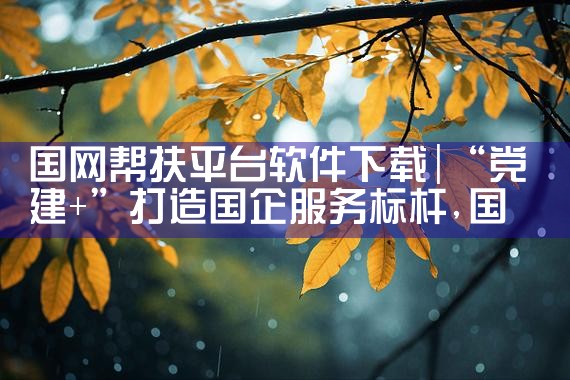 国网帮扶平台软件下载