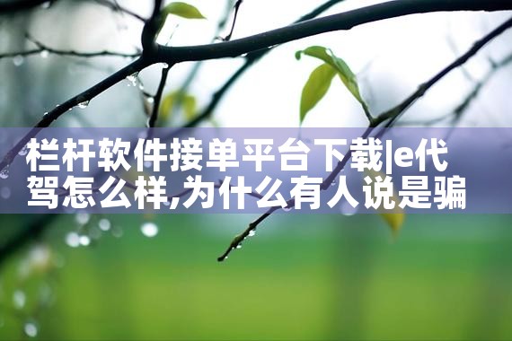 栏杆软件接单平台下载