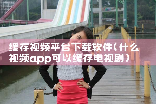 缓存视频平台下载软件