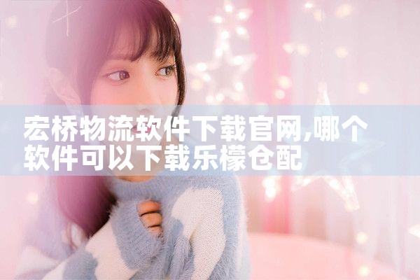 宏桥物流软件下载官网