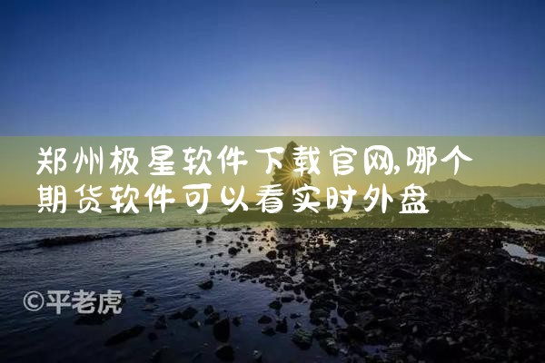郑州极星软件下载官网