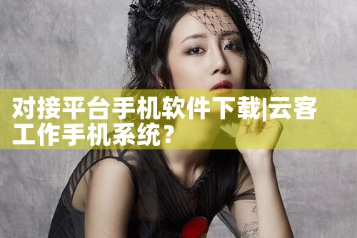 对接平台手机软件下载