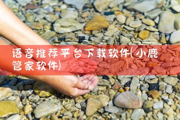 语音推荐平台下载软件