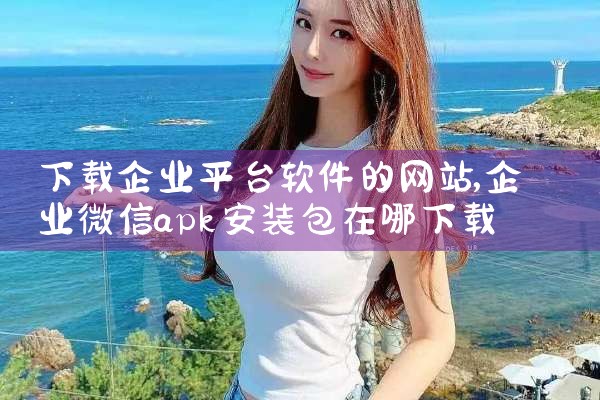 下载企业平台软件的网站