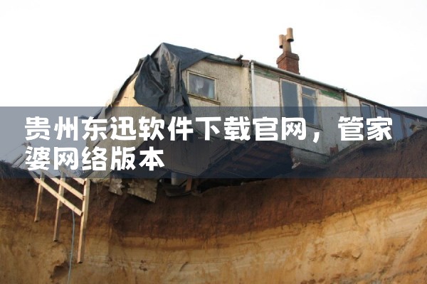 贵州东迅软件下载官网