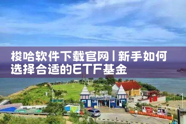 梭哈软件下载官网