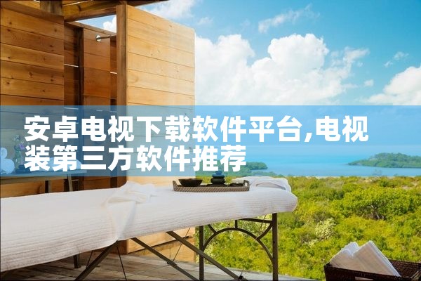 安卓电视下载软件平台