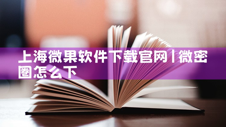 上海微果软件下载官网