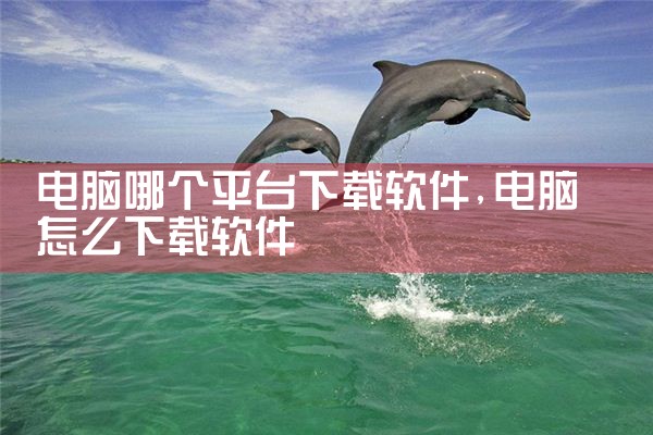 电脑哪个平台下载软件