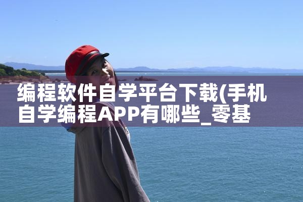 编程软件自学平台下载