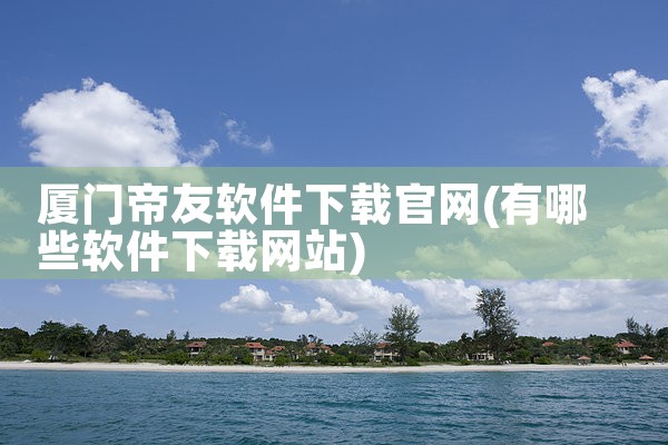 厦门帝友软件下载官网