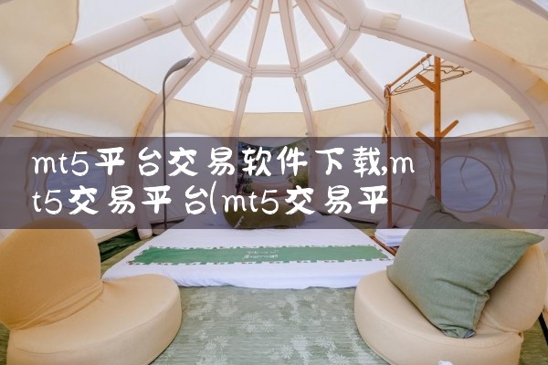 mt5平台交易软件下载